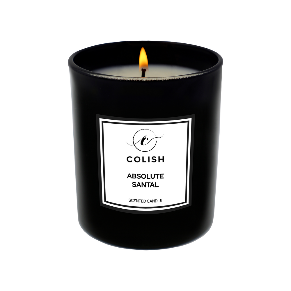 
                      
                        ABSOLUTE SANTAL SCENTED CANDLE
                      
                    